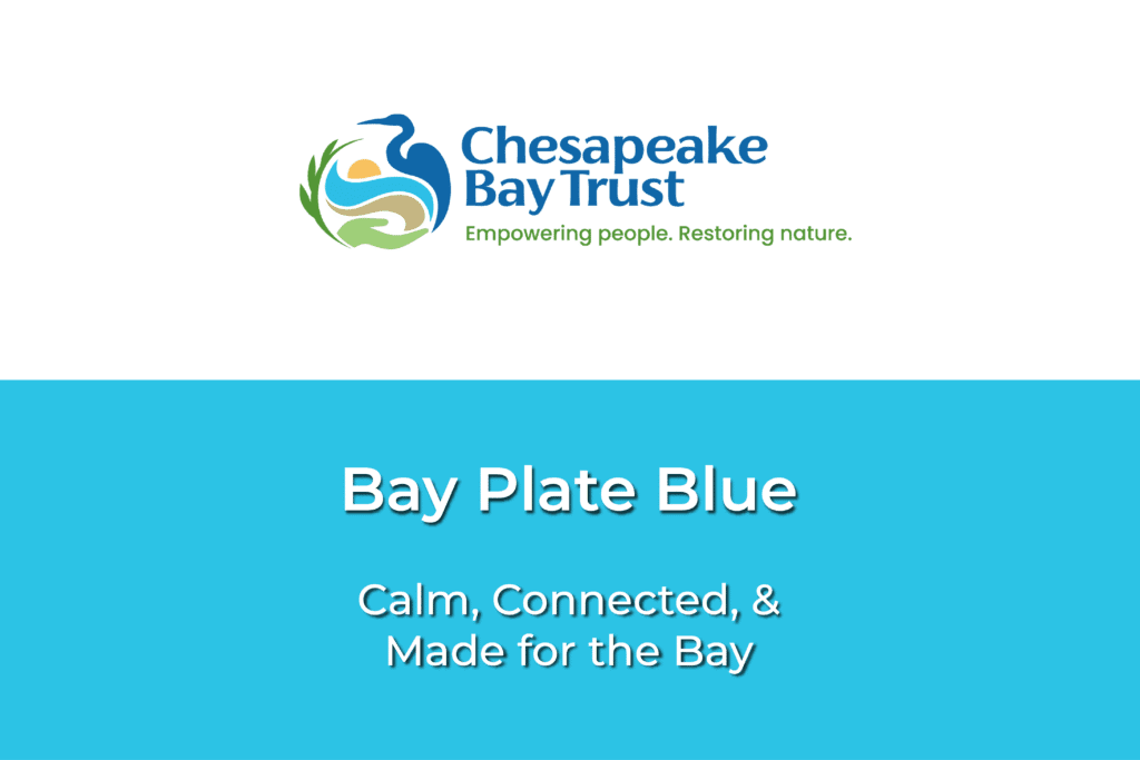 Bay Plate Blue: Chesapeake Bay Trust Color Partnership